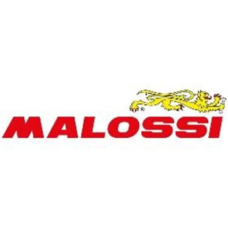 ACEITE MALOSSI SVX SPORT (SAE 80W-90) ACEITE MALOSSI SVX SPORT (SAE 80W-90)